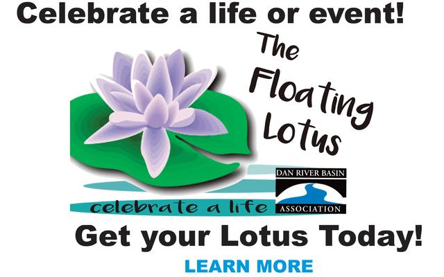 The Floating Lotus